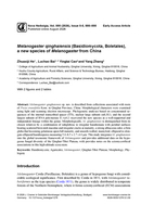 Image of first page of: Melanogaster qinghaiensis
                    (Basidiomycota, Boletales), a new species of Melanogaster from
                    China