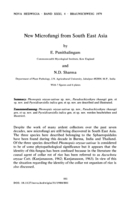 Image of first page of: New Microfungi from South East Asia