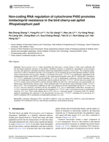 Image of first page of: Non-coding RNA regulation of cytochrome P450 promotes imidacloprid resistance in the bird cherry-oat aphid Rhopalosiphum padi
				