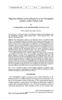 Image of first page of: Plagioclase feldspars and
hornblendes from the Chimalpahad complex, Andhra Pradesh, India