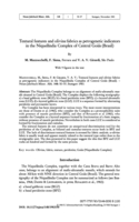 Image de la premiere page de: Textural features and
olivine fabrics as petrogenetic indicators in the Niquelãndia Complex
of Central Goiás (Brasil)